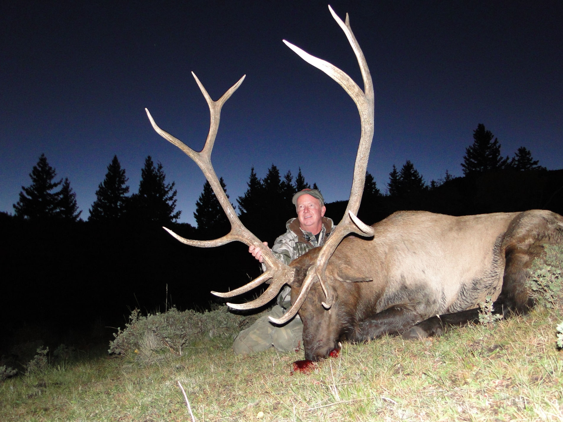 Elk Hunts with Sangre de Cristo Outfitters