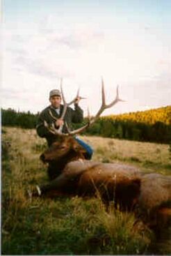 Elk Hunting at Sangre De Cristo Outfitters