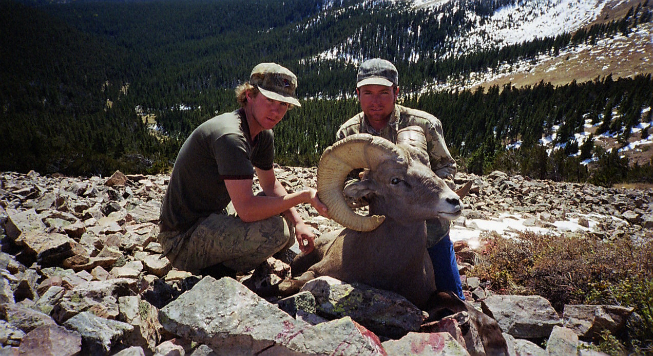 Big Horn Sheep 2002